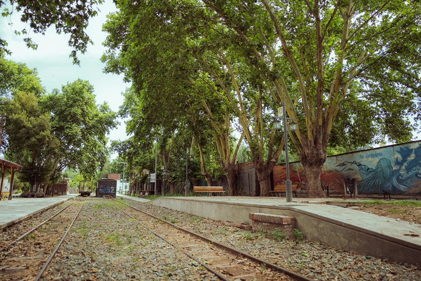 Secret Spots to Visit on Your Tucson Trip
