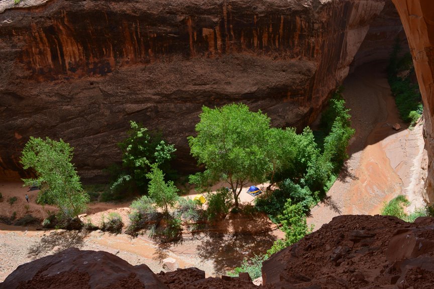 Why Choose Tucson’s Desert Parks for Picnics?